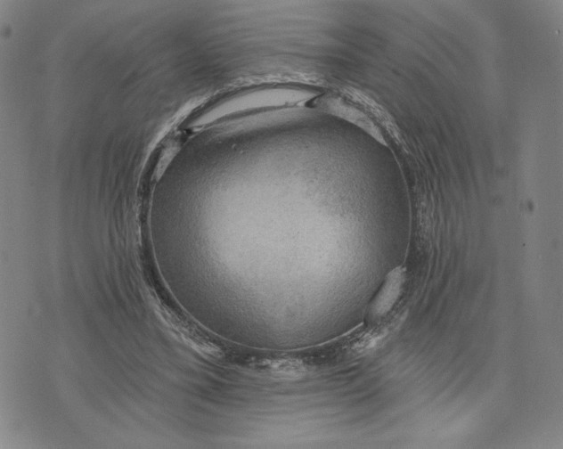 X0000076220395200610191538