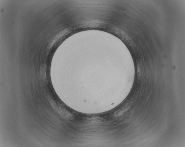 X0000076220396200610191538