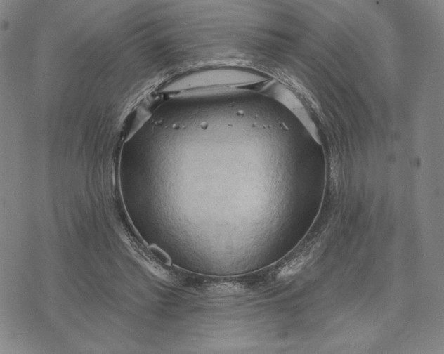 X0000076220397200610191538