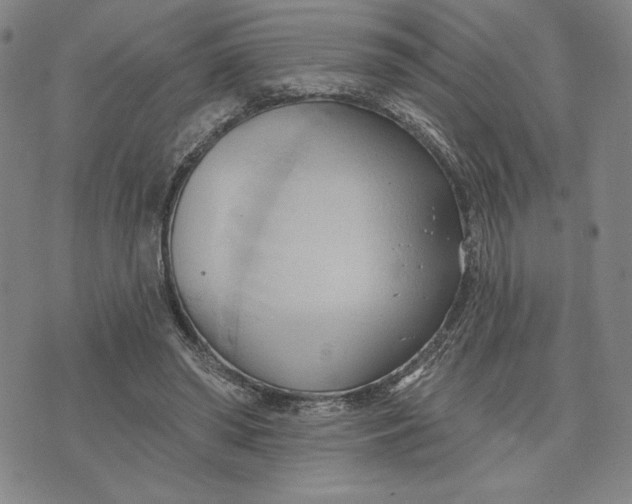 X0000076220398200610191538