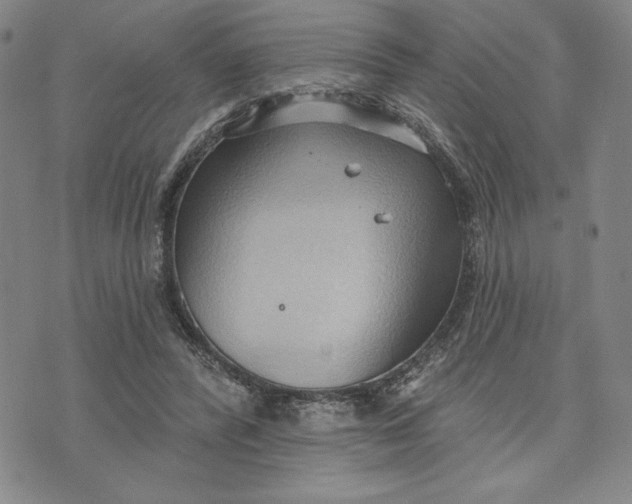 X0000076220400200610191538