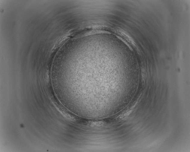 X0000076220401200610191538