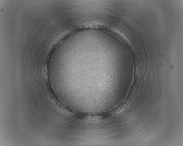 X0000076220403200610191538