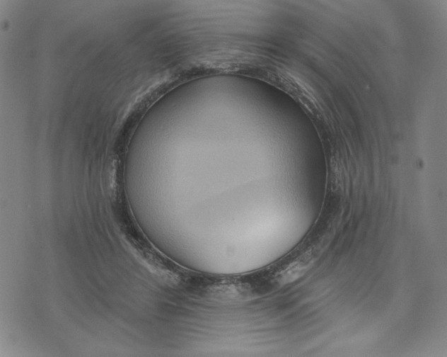 X0000076220404200610191538