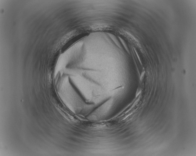 X0000076220405200610191538