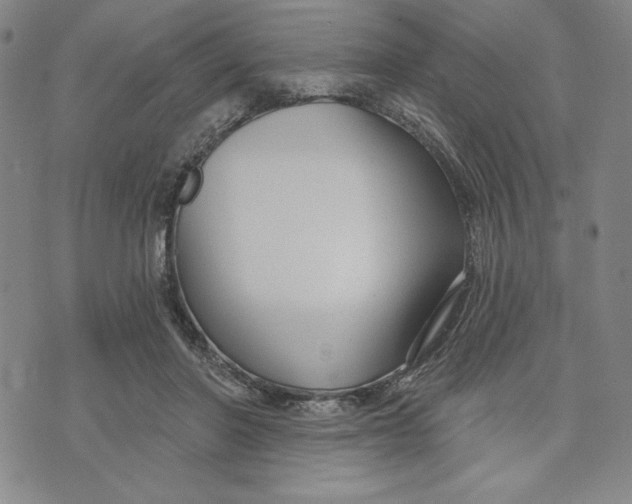 X0000076220406200610191538