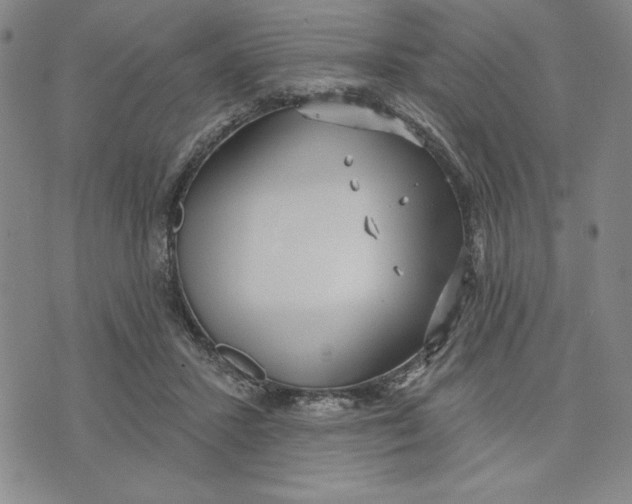 X0000076220407200610191538