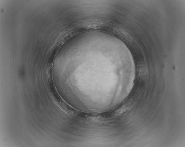 X0000076220408200610191538