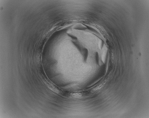 X0000076220409200610191538