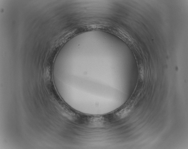 X0000076220410200610191538