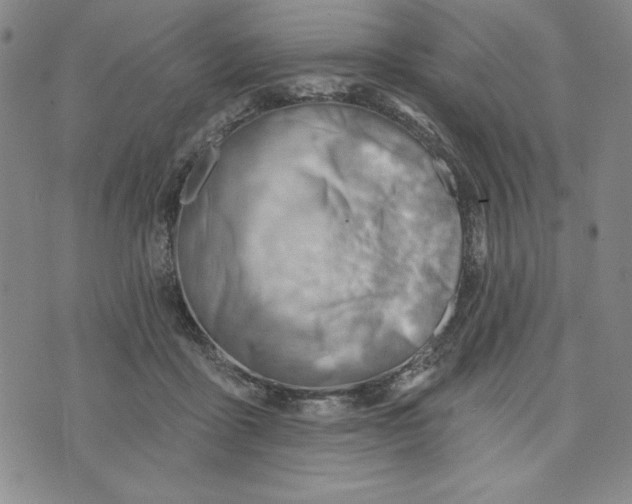 X0000076220411200610191538