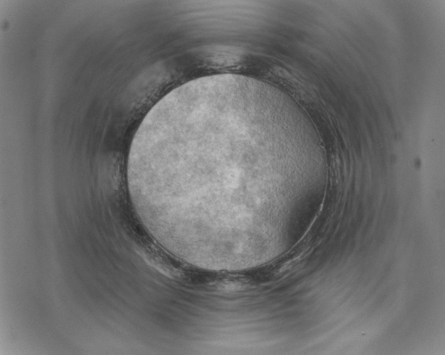 X0000076220412200610191538