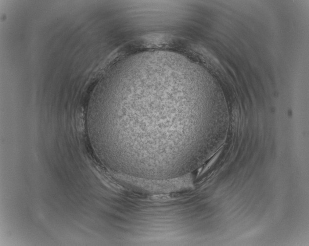 X0000076220413200610191538