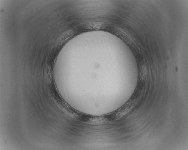 X0000076220414200610191538