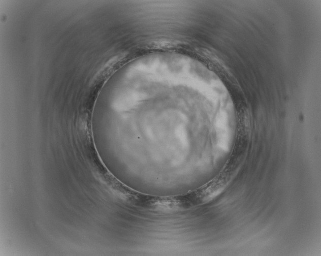 X0000076220415200610191538