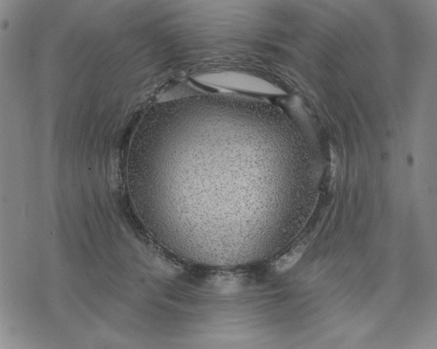 X0000076220416200610191538