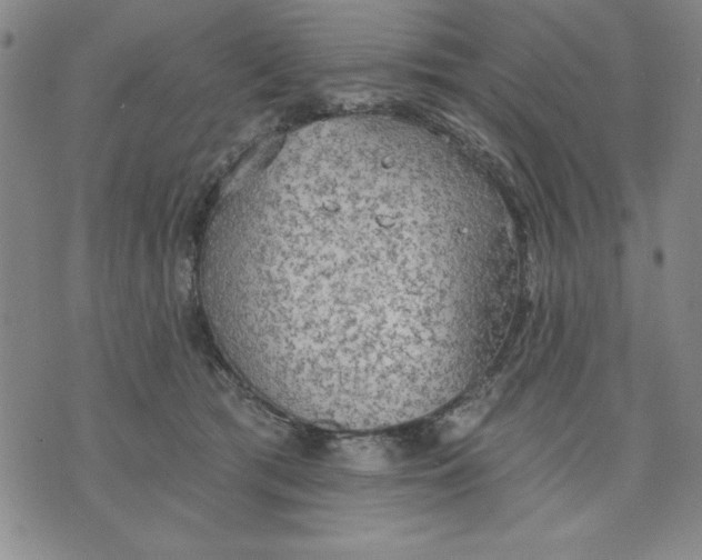 X0000076220417200610191538