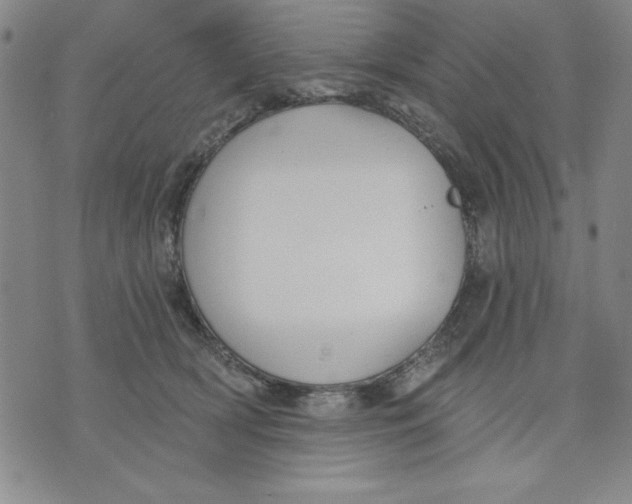 X0000076220418200610191538