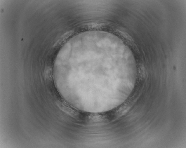 X0000076220419200610191538