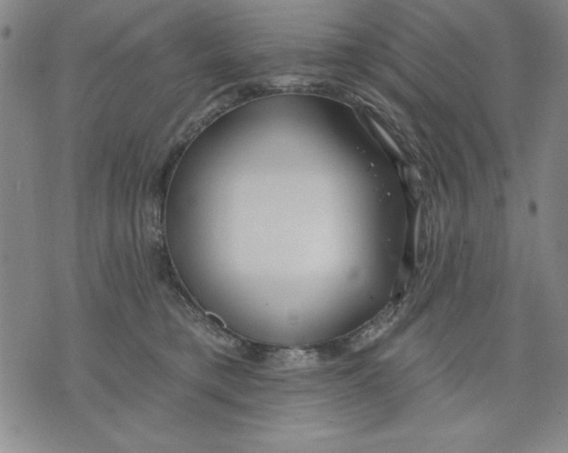 X0000076220421200610191537