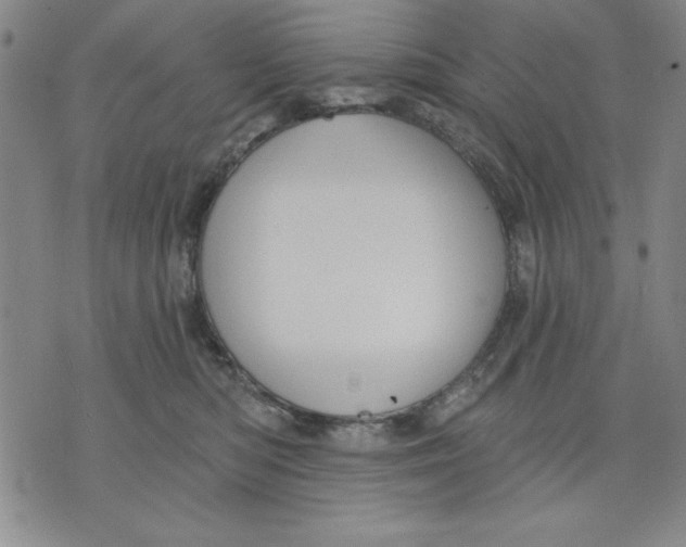 X0000076220422200610191537