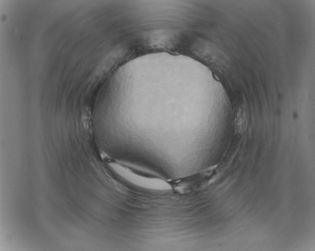 X0000076220424200610191537