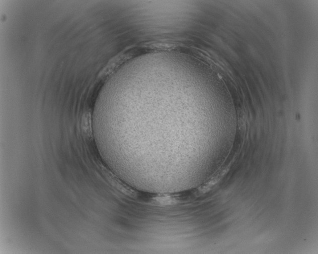 X0000076220425200610191537