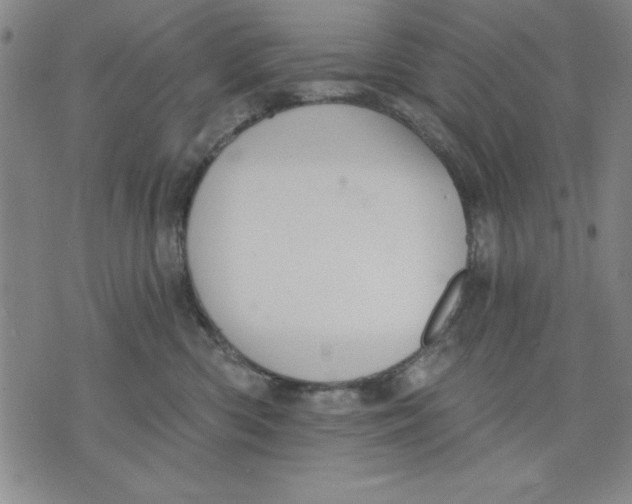 X0000076220426200610191537