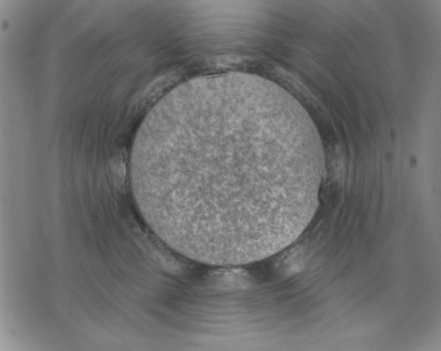 X0000076220427200610191537