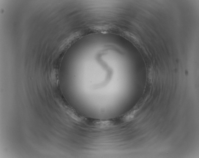 X0000076220428200610191537