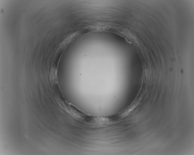 X0000076220429200610191537