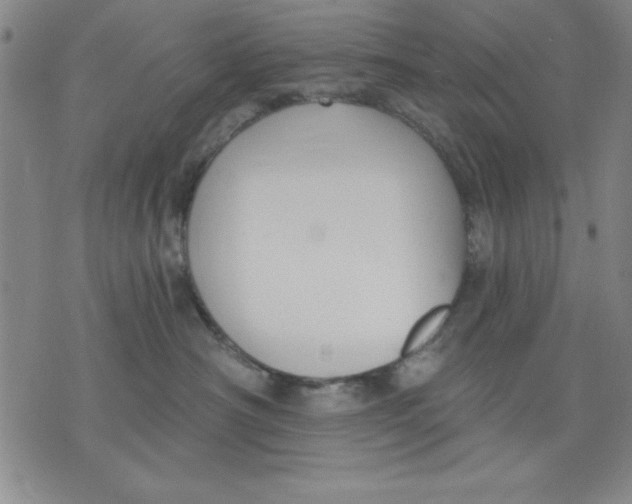 X0000076220430200610191537