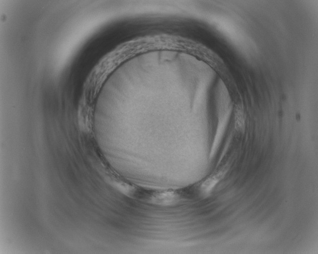 X0000076220431200610191537