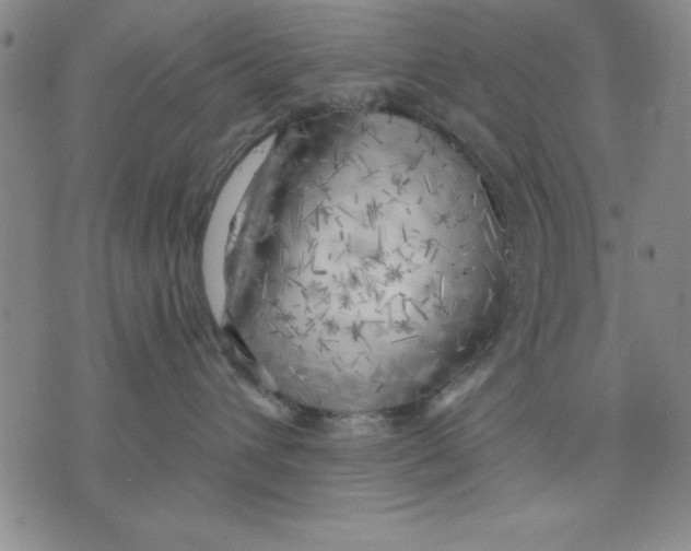 X0000076220432200610191537