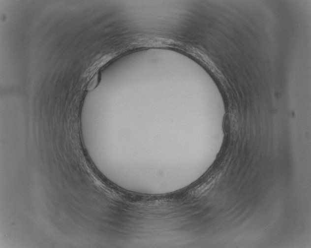 X0000076220433200610191537