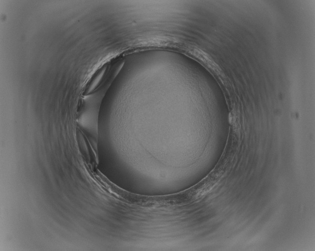 X0000076220434200610191537