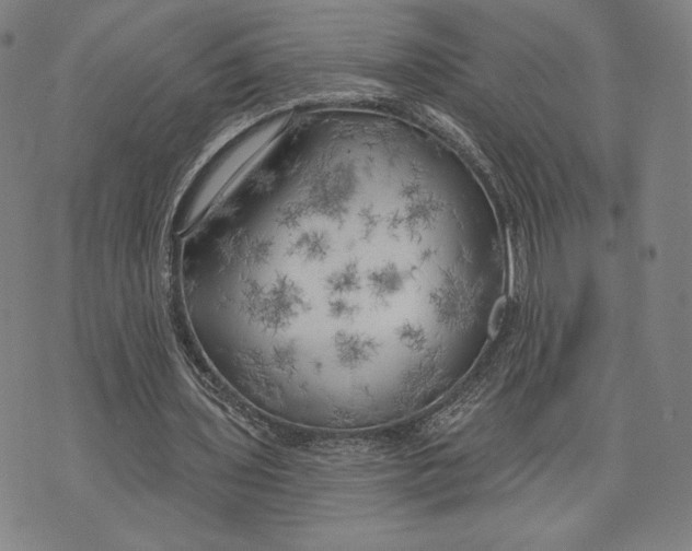 X0000076220435200610191537