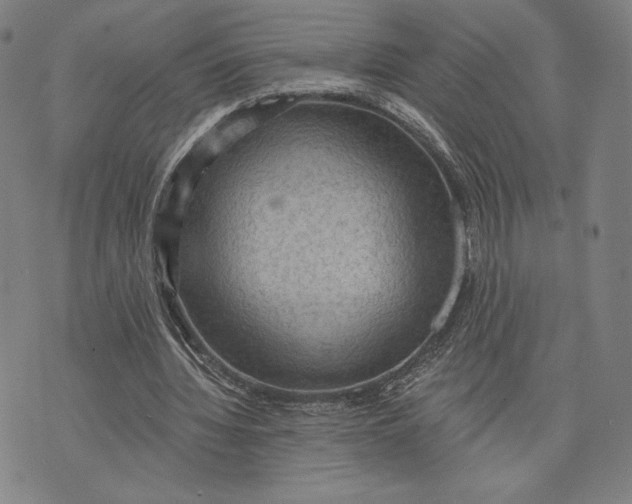 X0000076220436200610191537