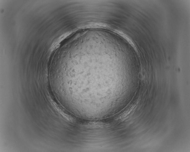 X0000076220437200610191537