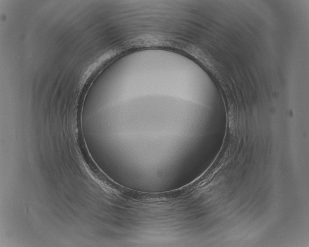 X0000076220438200610191537