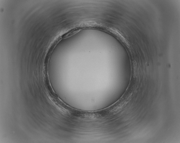 X0000076220439200610191537