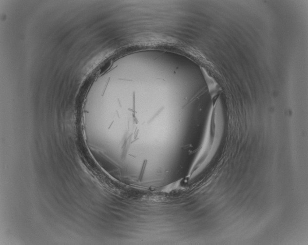 X0000076220440200610191537