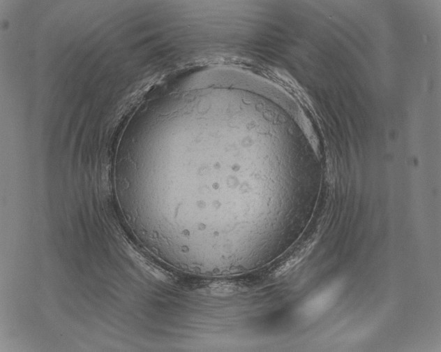 X0000076220441200610191537