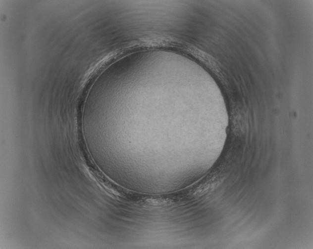 X0000076220442200610191537