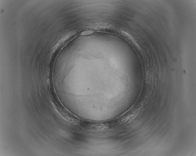 X0000076220443200610191537