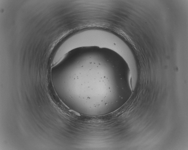 X0000076220444200610191537