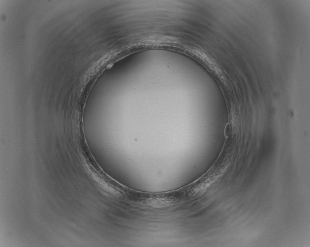 X0000076220445200610191537