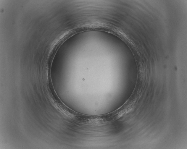 X0000076220446200610191537