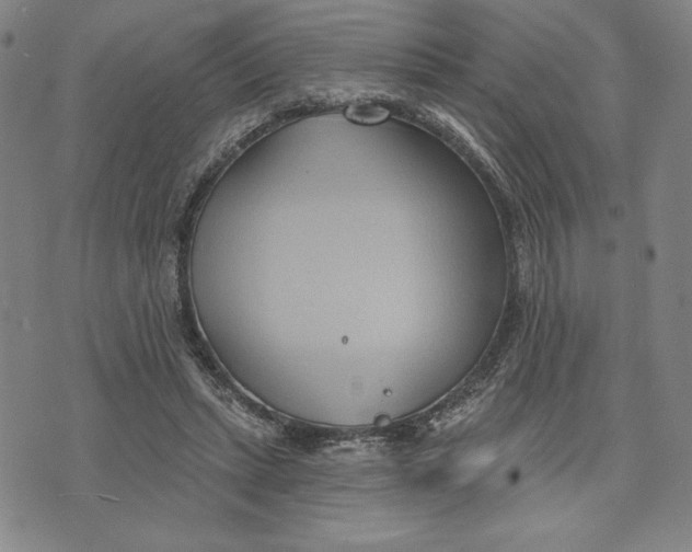 X0000076220447200610191537