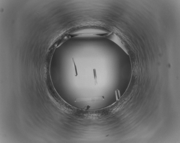 X0000076220448200610191537